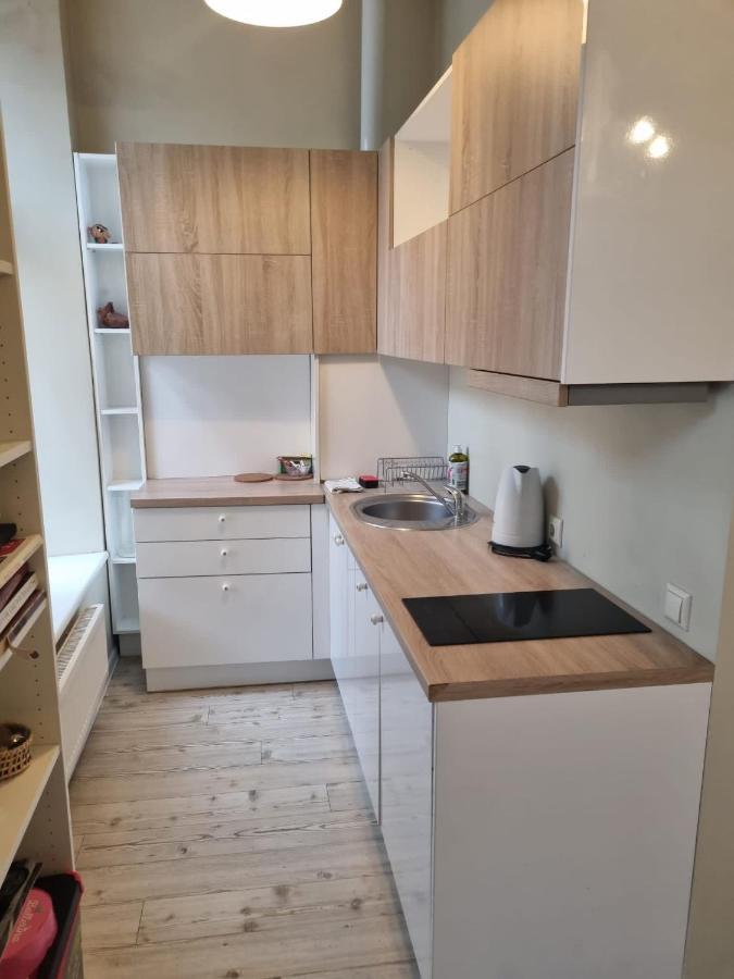 Igo Apartment Uzupis 빌뉴스 외부 사진